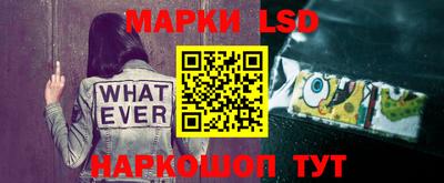 мяу мяу мука Будённовск