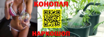 гашик Бузулук