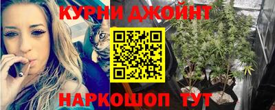 гашик Бузулук