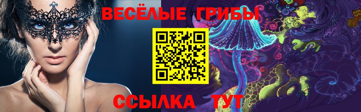 Галлюциногенные грибы Cubensis  Вход с VPN  Холмск  Псилоцибиновые грибы мицелий 