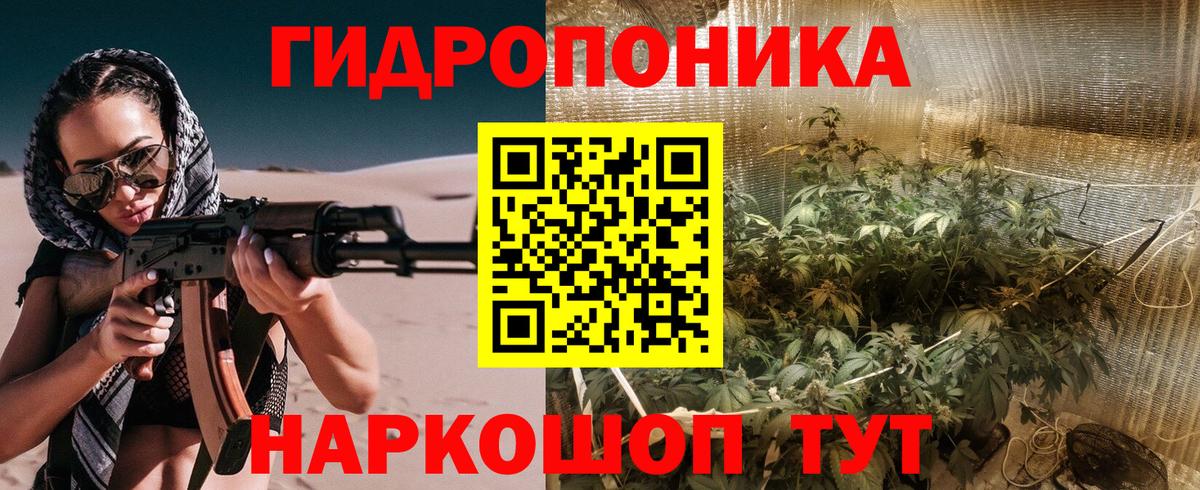 Холмск  Бошки марихуана семена  Марихуана тримм  Марихуана THC 21%  Вход с VPN  Каннабис индика 